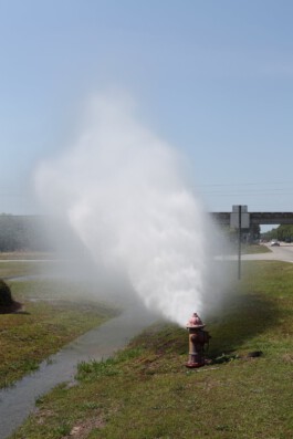 mirjamklessmann
Bildredaktion
Bildkonzept
Fotografie