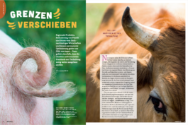 mirjamklessmann
Bildredaktion
Bildkonzept
Fotografie