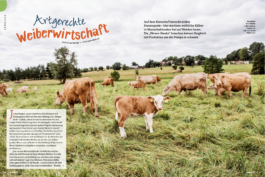 mirjamklessmann
Bildredaktion
Bildkonzept
Fotografie