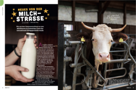 mirjamklessmann
Bildredaktion
Bildkonzept
Fotografie