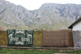 mirjamklessmann
Bildredaktion
Bildkonzept
Fotografie