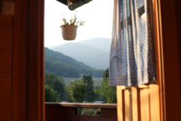 mirjamklessmann
Bildredaktion
Bildkonzept
Fotografie