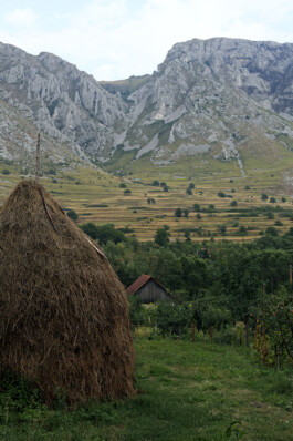 mirjamklessmann
Bildredaktion
Bildkonzept
Fotografie