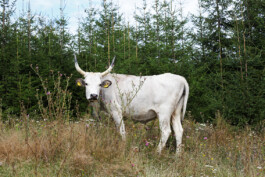 mirjamklessmann
Bildredaktion
Bildkonzept
Fotografie